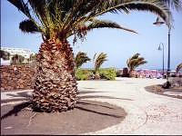 Costa Teguise, Lanzarote